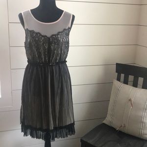 Lace Cocktail Dress